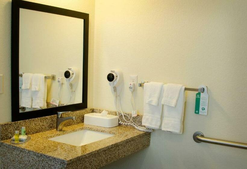 Отель Cobblestone Inn & Suites   Soda Springs