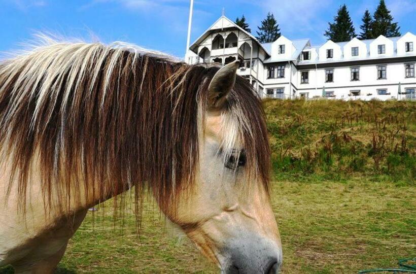 ホテル L Eikerapen Gjestegård åseral