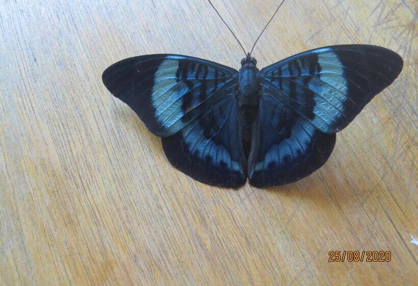 בית מלון כפרי Eware Refugio Amazonico