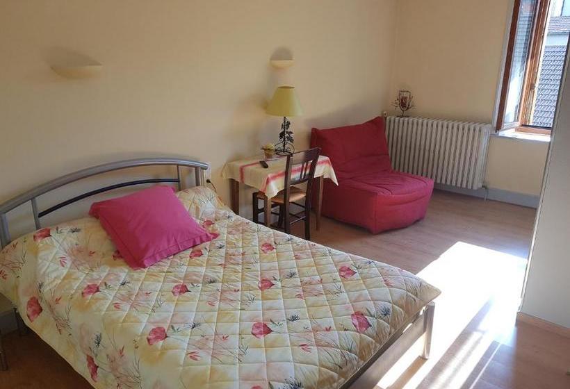 فندق Hôtel Ducret