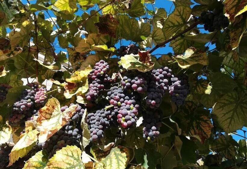 בית מלון כפרי La Caveja