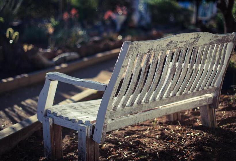 酒店 Okiep Country