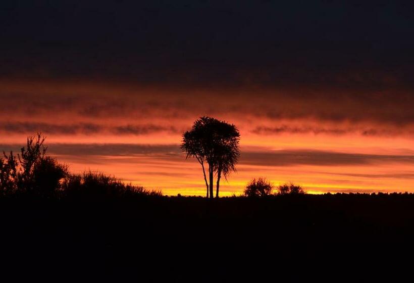 فندق على الطريق Tongariro Boutique B&b