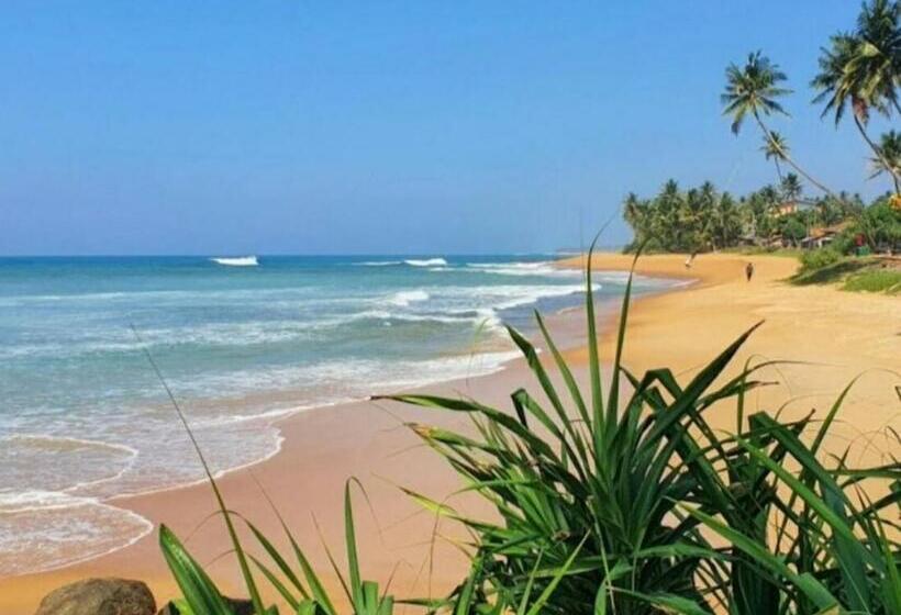 Пансион Ashen's Beach House