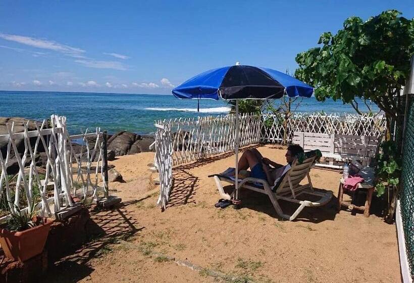 Пансион Ashen's Beach House