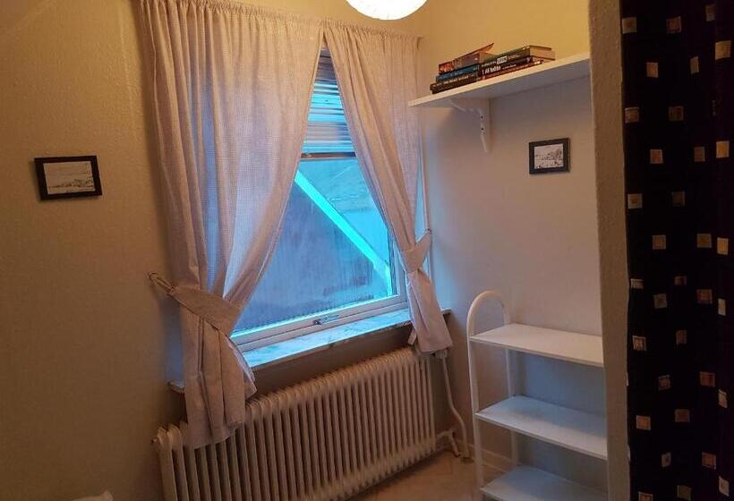 פנסיון Budget Guesthouse Borgustova