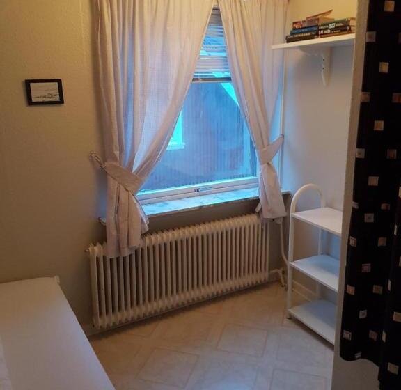 פנסיון Budget Guesthouse Borgustova