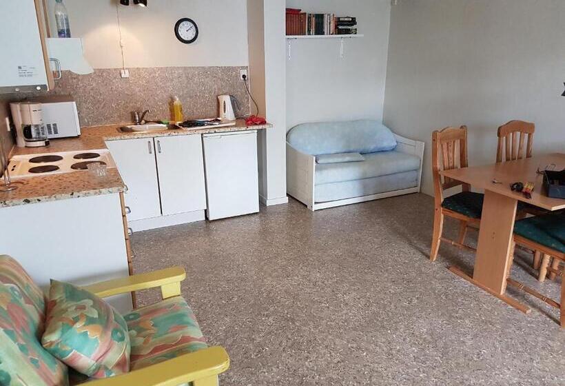 פנסיון Budget Guesthouse Borgustova