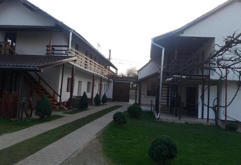 膳宿费 Casa Floare De Colt