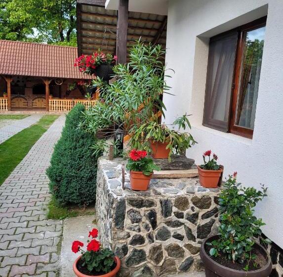 膳宿费 Casa Floare De Colt