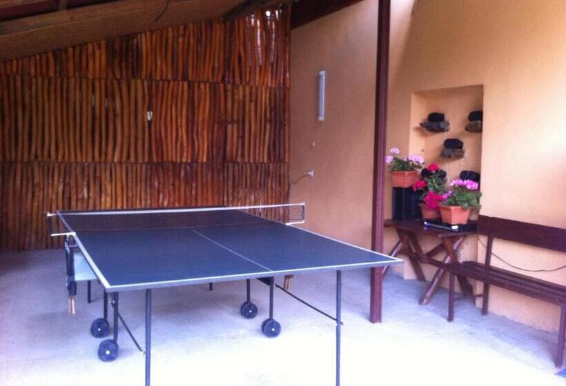 膳宿费 Casa Floare De Colt