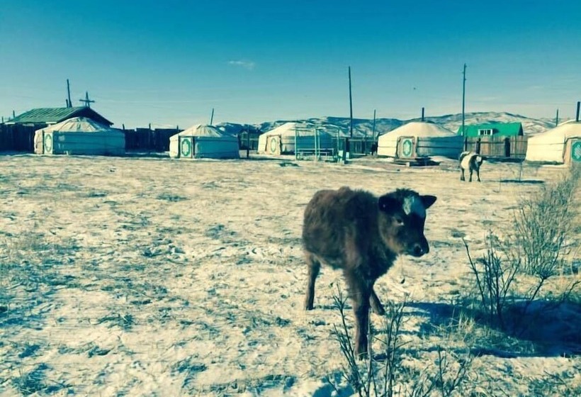 پانسیون Gaya S Guest House