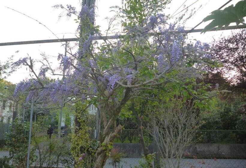 پانسیون Guest House Elena