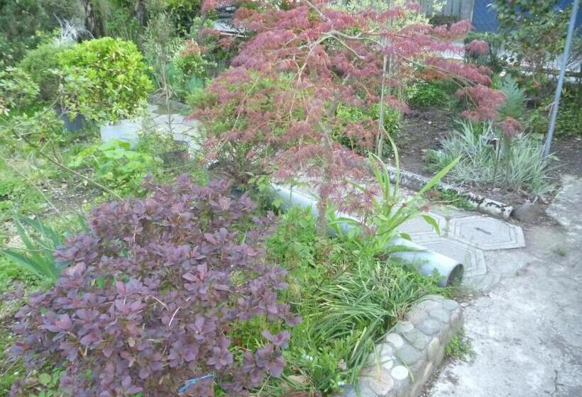 پانسیون Guest House Elena