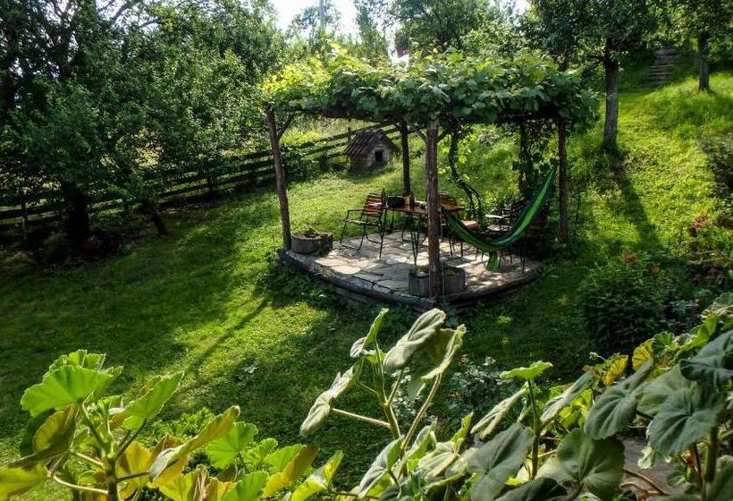 پانسیون Guest House Little Heaven