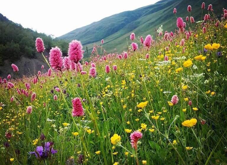 پانسیون Guesthouse Angelina