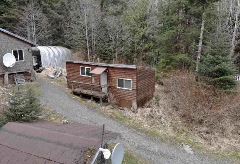 بنسيون Hollis Creek Cabin