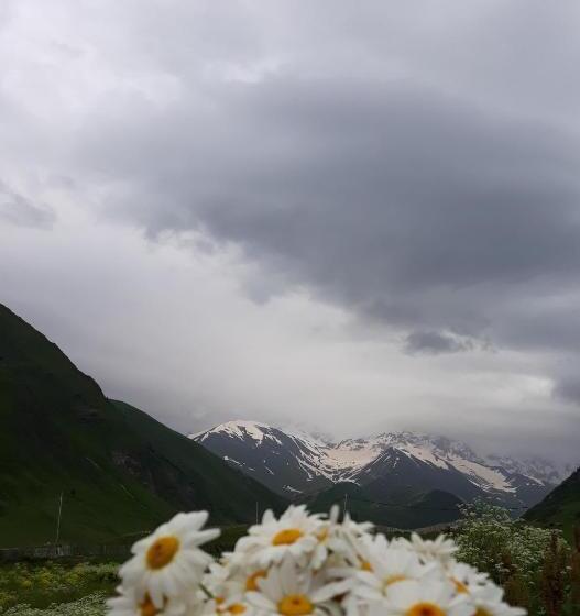 پانسیون Maxvshi