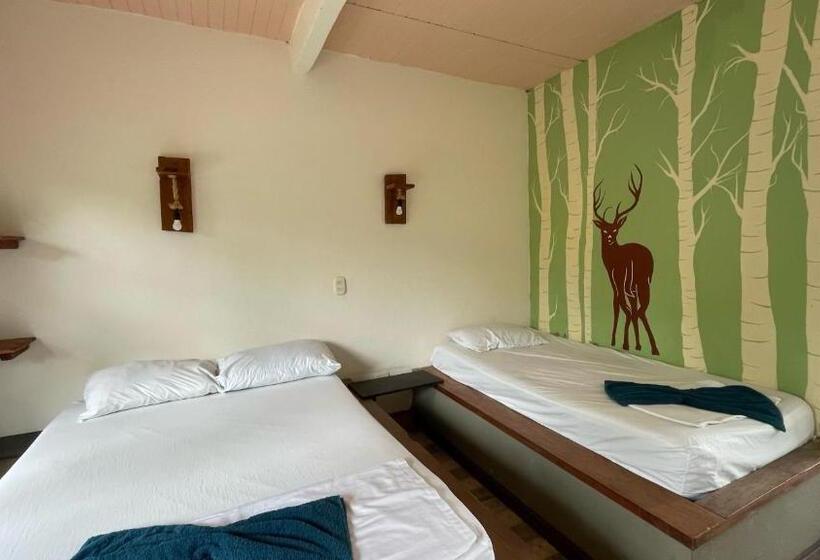 פנסיון Nuevo Oeste