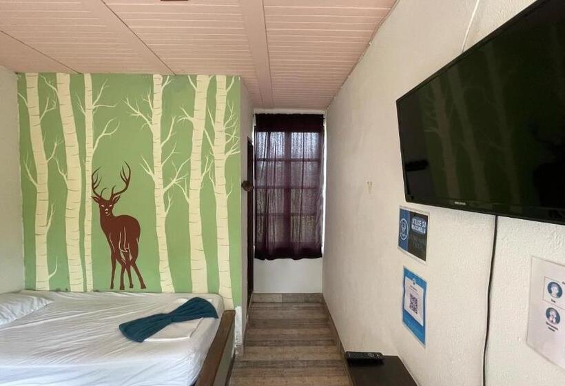 پانسیون Nuevo Oeste