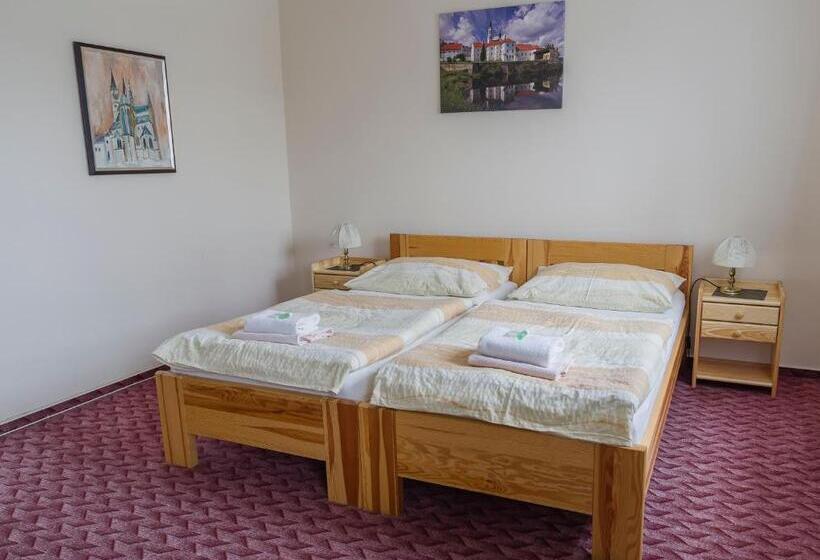 Пансион Penzion U Candru