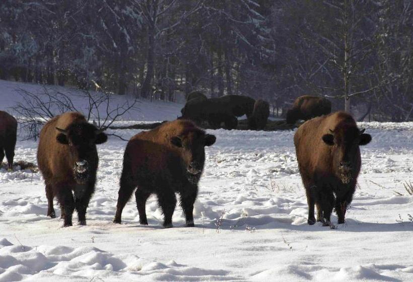 Пансион Penzion U Candru