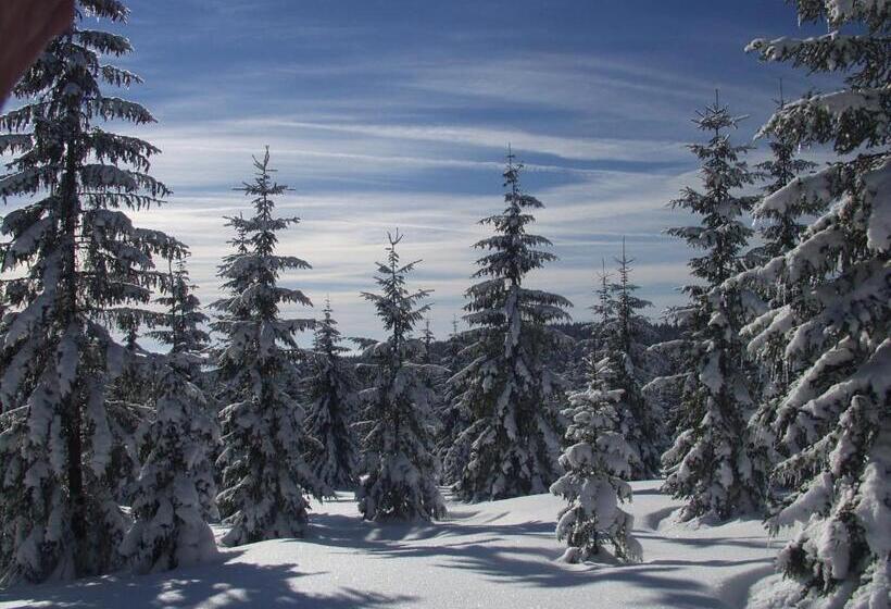 Пансион Penzion U Candru