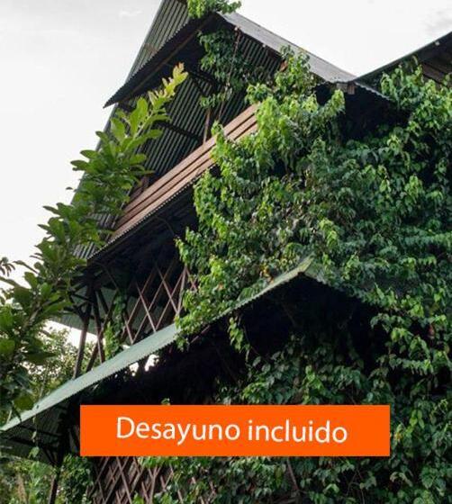 هاستل Ayahuasca