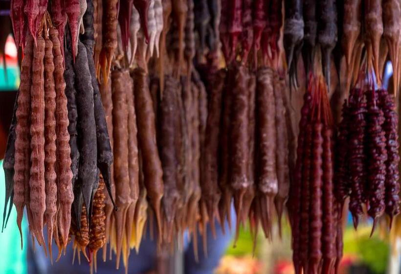 هاستل Chateau Napareuli