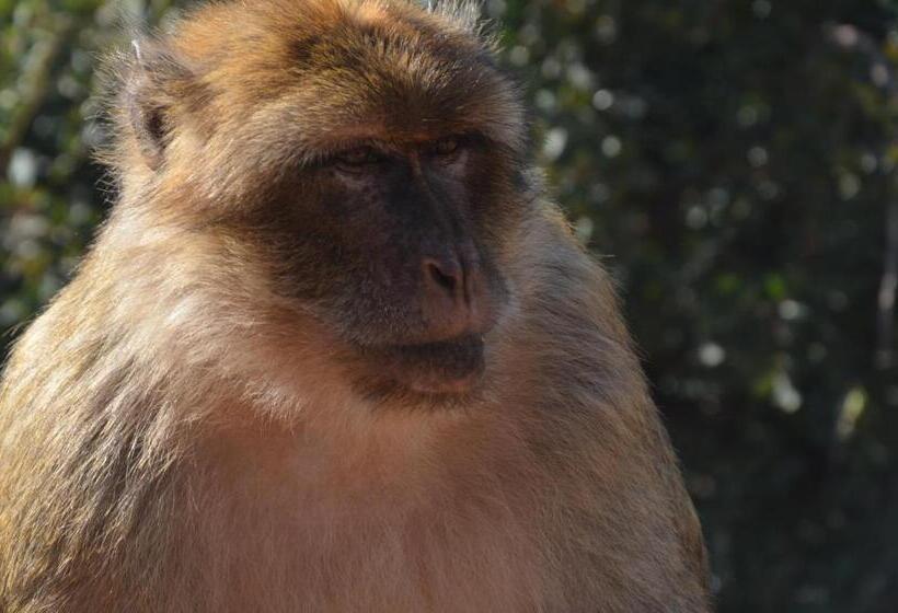 هاستل Hôtel Ajil Cascades D'ouzoud