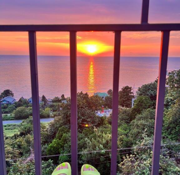 هاستل Inn David