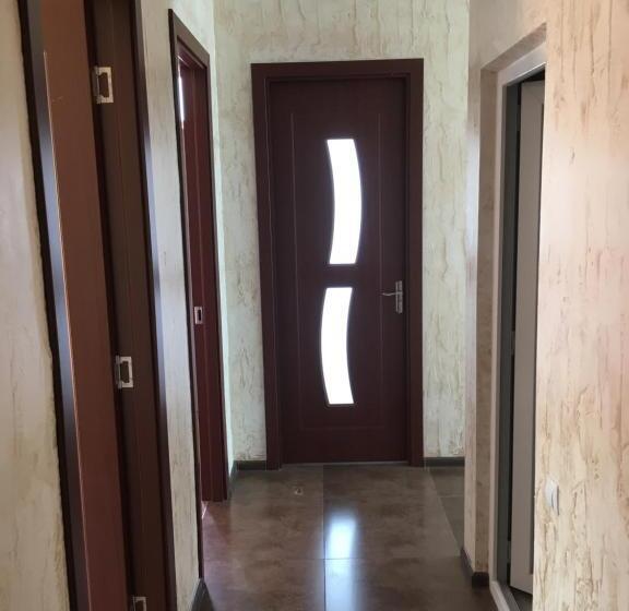 هاستل Inn David