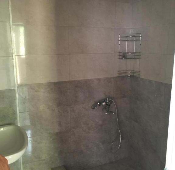 هاستل Inn David