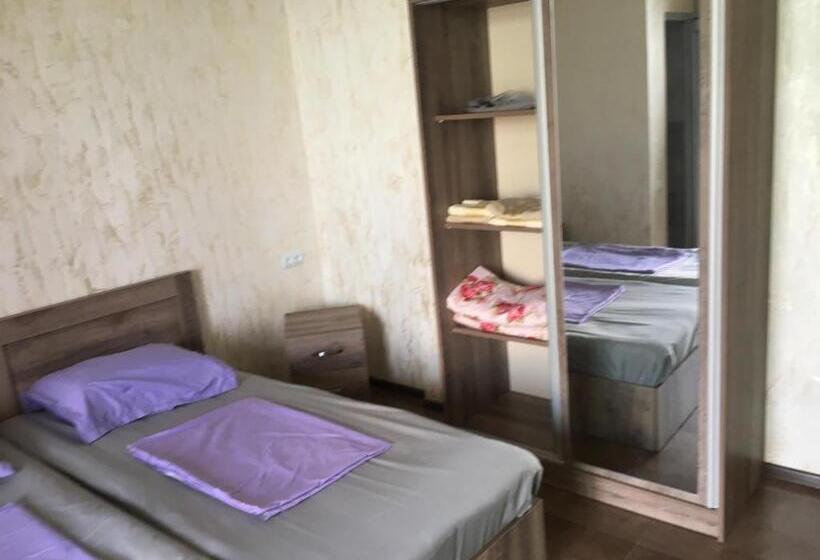 هاستل Inn David