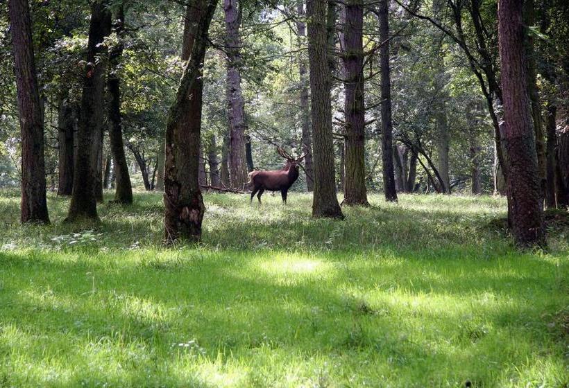 فندق صغير Le Ry D Ave