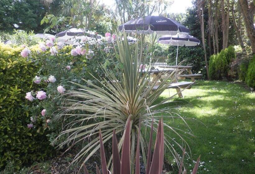 הוסטל Longfrie Inn