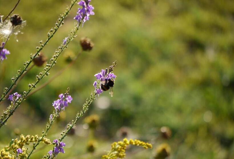 הוסטל Manowhenua Lodge
