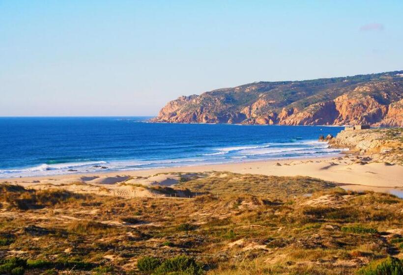 فندق صغير Moby Dick Lodge