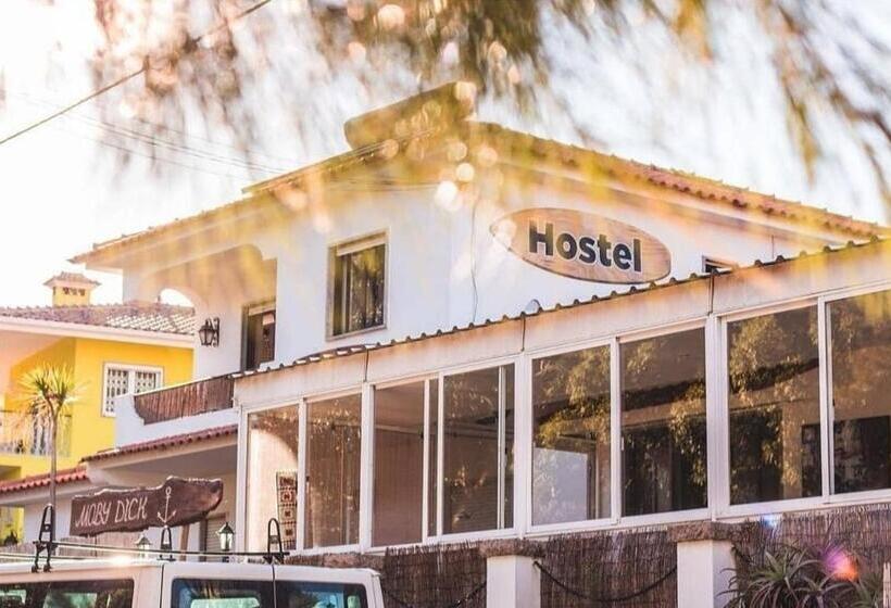 فندق صغير Moby Dick Lodge