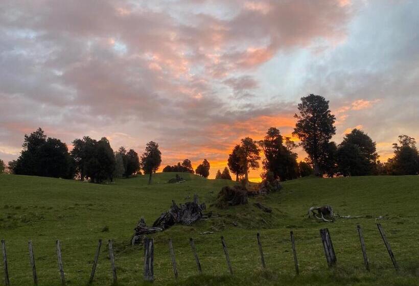 הוסטל National Park Alpine Lodge