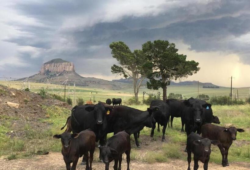 فندق صغير Riverview Country Inn