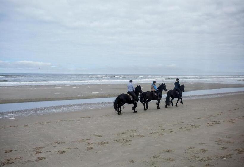 Appartementenhotel Tjermelân Terschelling