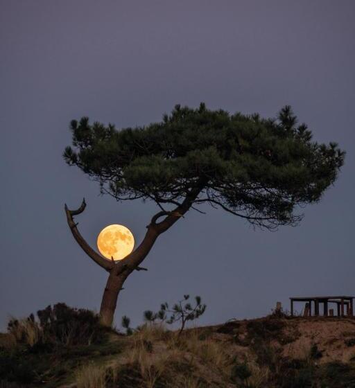 Appartementenhotel Tjermelân Terschelling