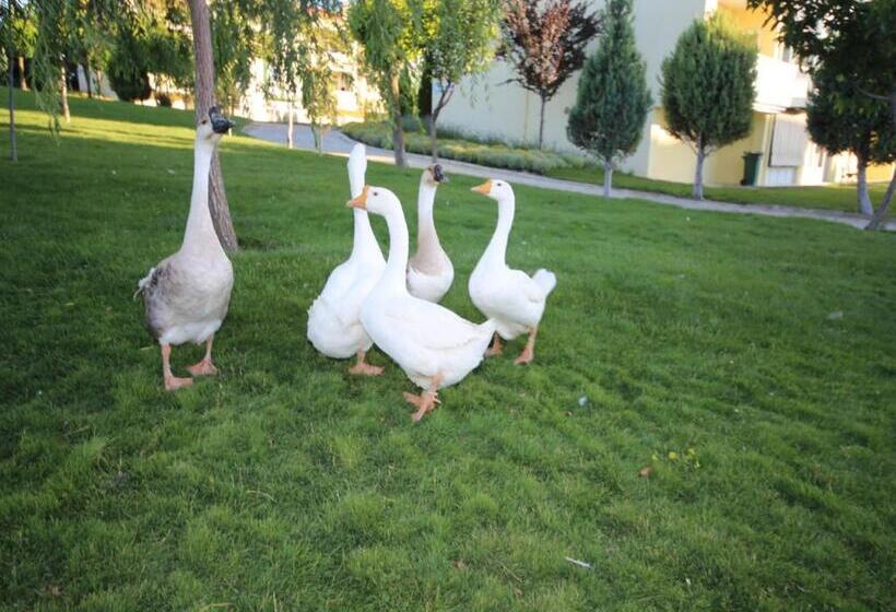 Basaranlar Thermal Otel