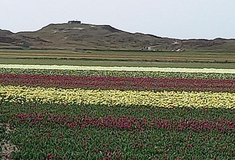 ベッドアンドブレックファースト Bed En Breakfast Kamers En Meer Het Spookhuis