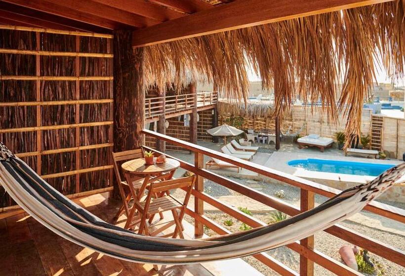 住宿加早餐  Buena Vista Lobitos