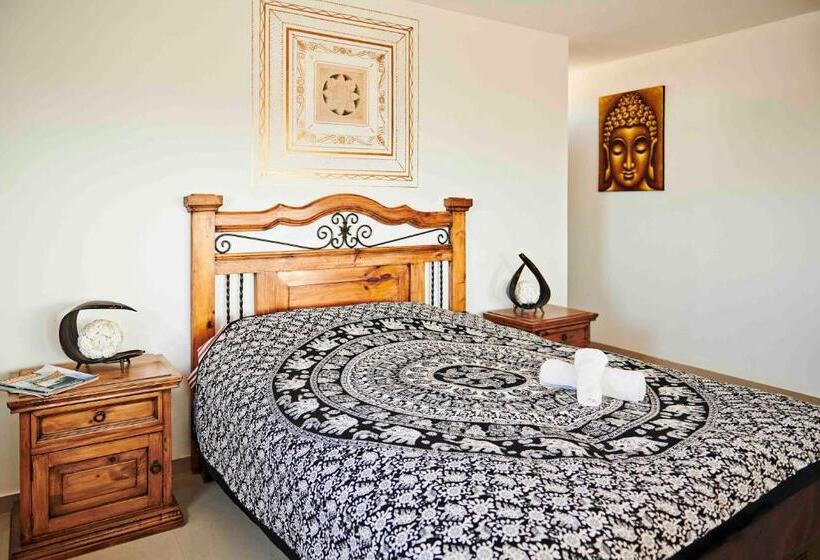 住宿加早餐  Buena Vista Lobitos