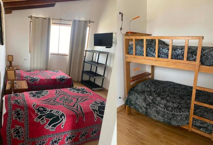 住宿加早餐  Buena Vista Lobitos