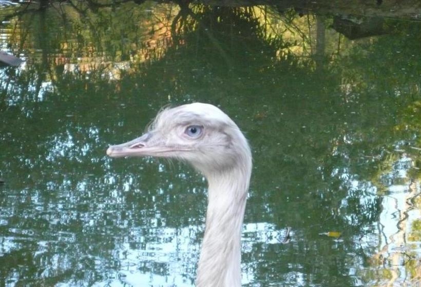 مبيت وإفطار Château Mont Suzey