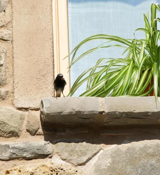 مبيت وإفطار Corte Della Maddalena